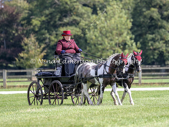 BW18--1918