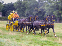 Horse Fours