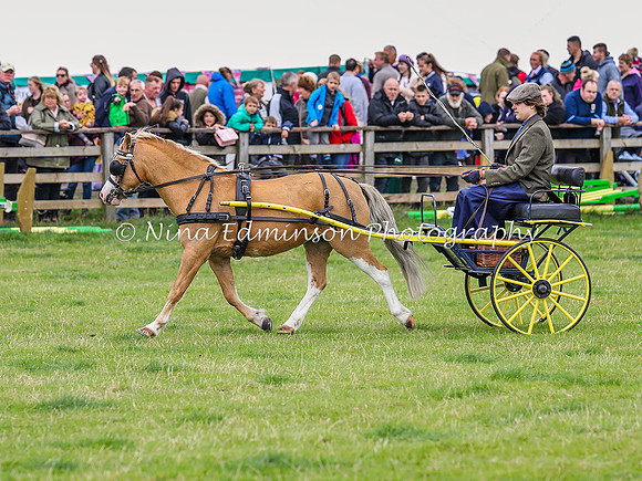SS18--0377