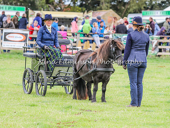 SS18--0384