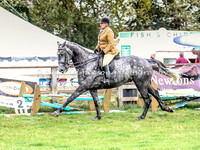 Ridden Hunters