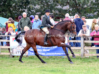 Ridden Hunter Championship