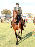 Supreme Horse & Pony Championship