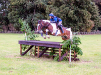 Fence 14