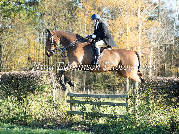 BF23---260