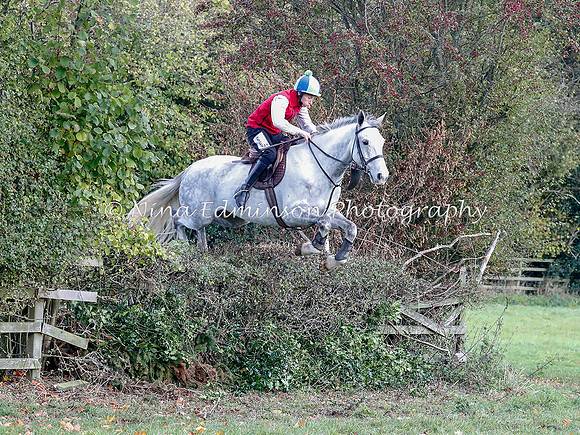 WYFH18--0034