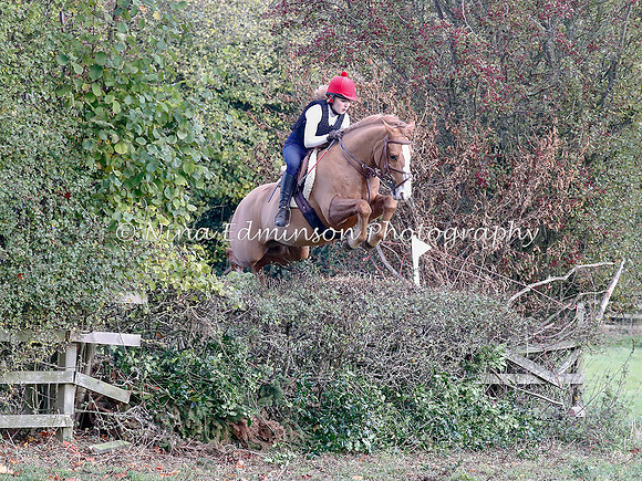 WYFH18--0039