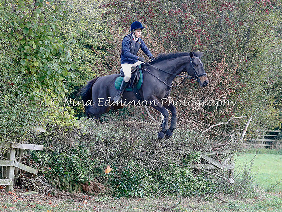 WYFH18--0058