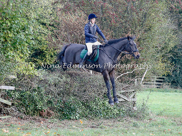 WYFH18--0060