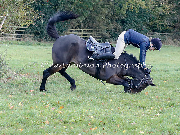 WYFH18--0066