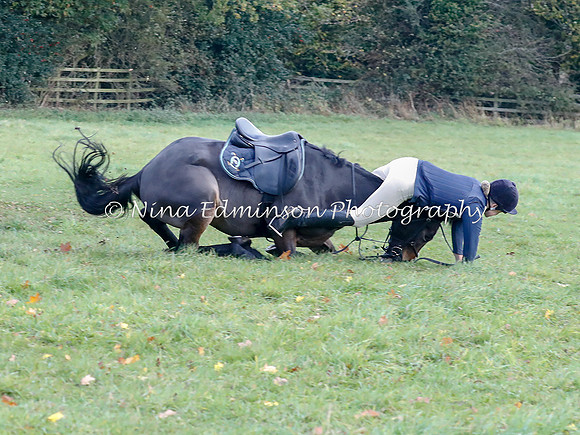 WYFH18--0069