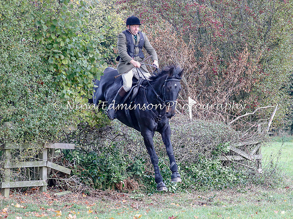 WYFH18--0084