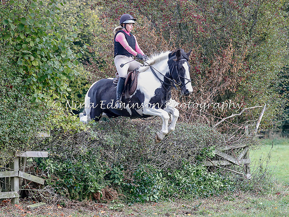 WYFH18--0088