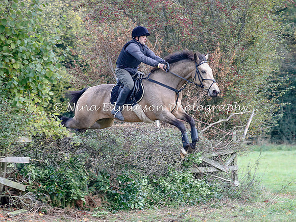 WYFH18--0091