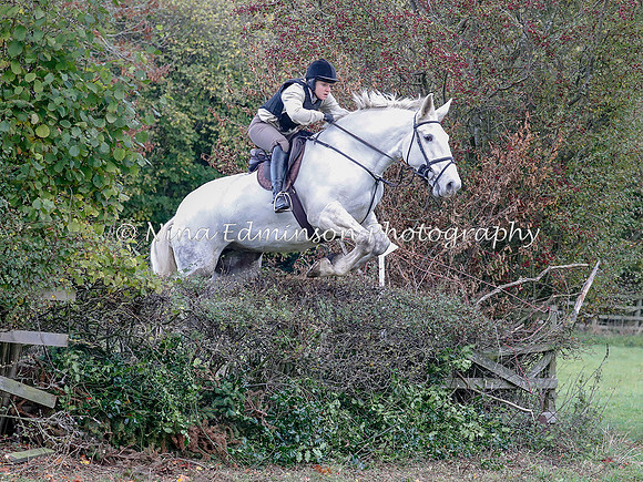 WYFH18--0098