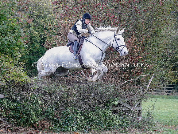 WYFH18--0099