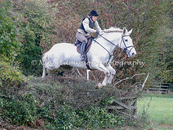 WYFH18--0100