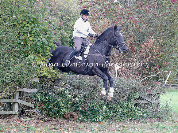 WYFH18--0106