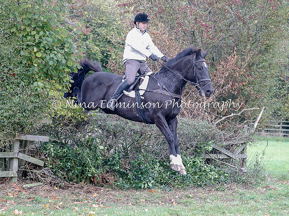 WYFH18--0107