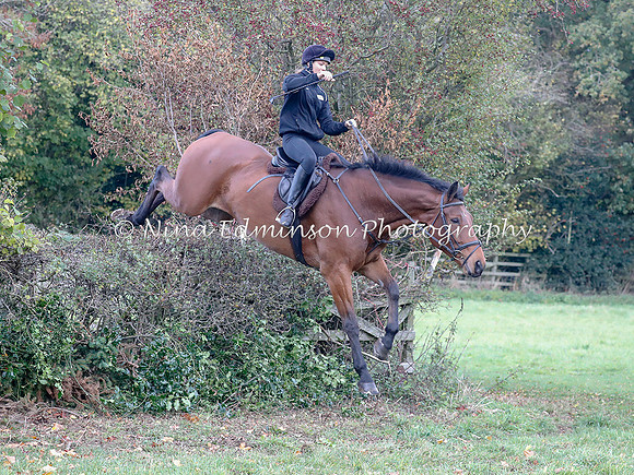 WYFH18--0112