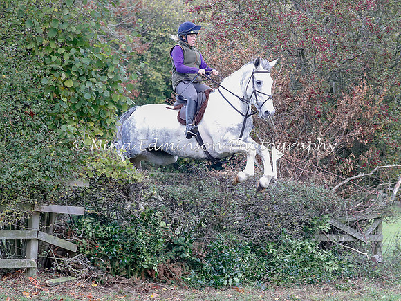 WYFH18--0116