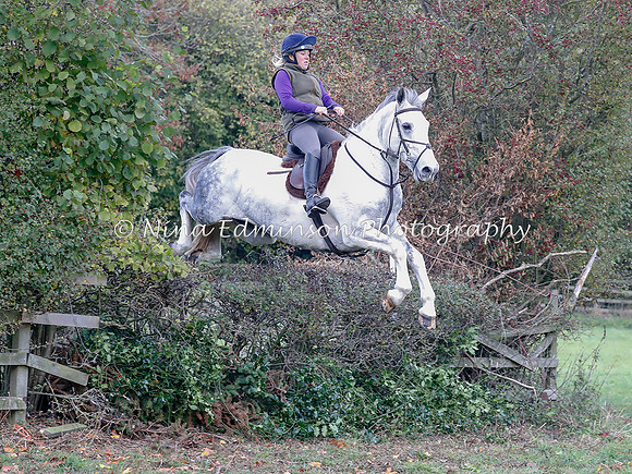 WYFH18--0117