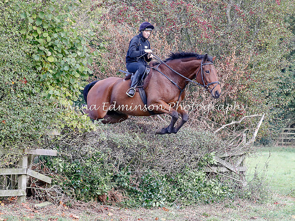 WYFH18--0124