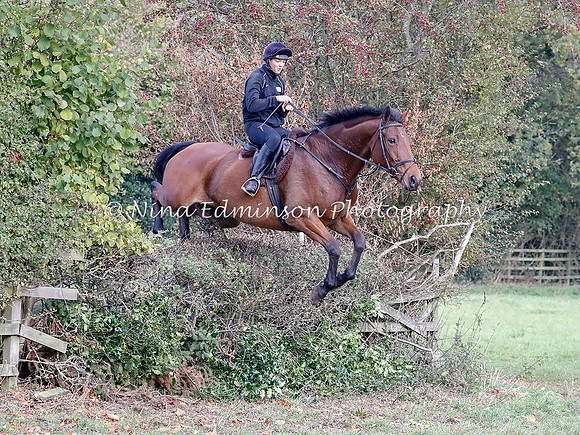 WYFH18--0125
