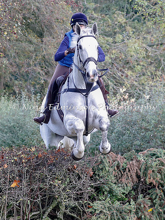 WYFH18--0162