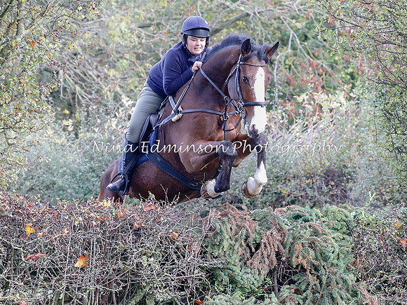 WYFH18--0168