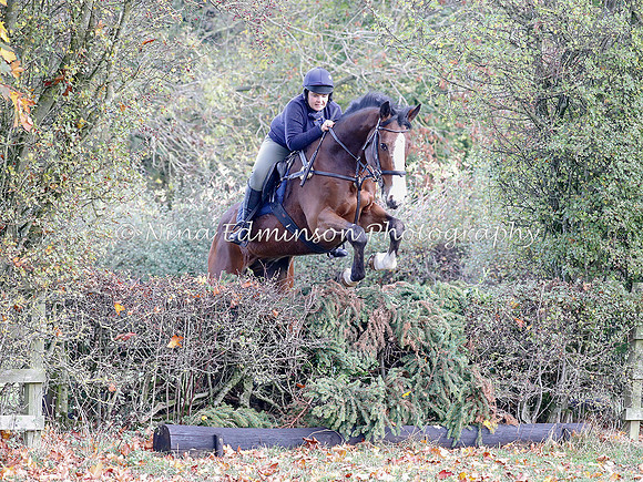 WYFH18--0169