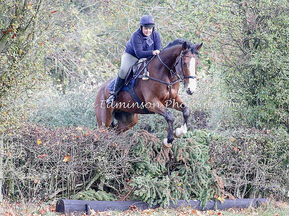 WYFH18--0170
