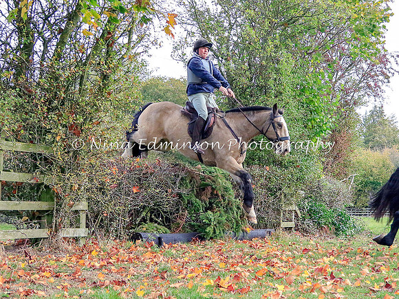 WYFH18--0178