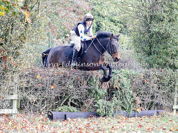 WYFH18--0179