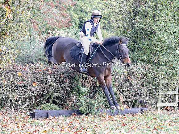 WYFH18--0181