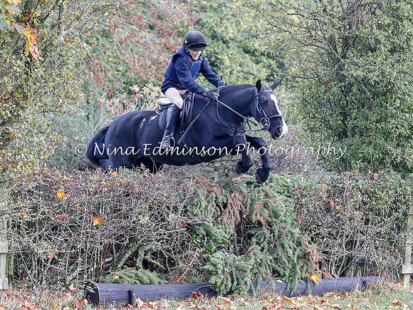 WYFH18--0182