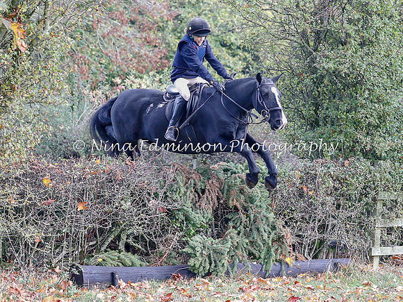 WYFH18--0183