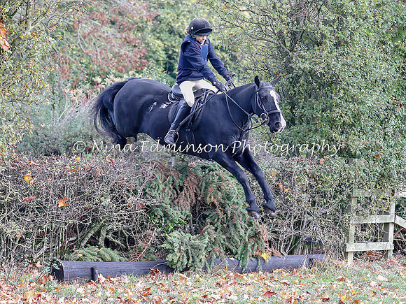 WYFH18--0184