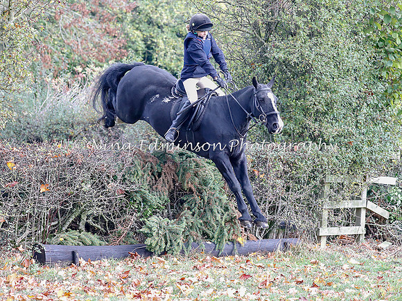 WYFH18--0185