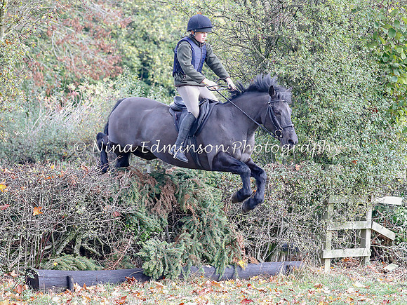 WYFH18--0187