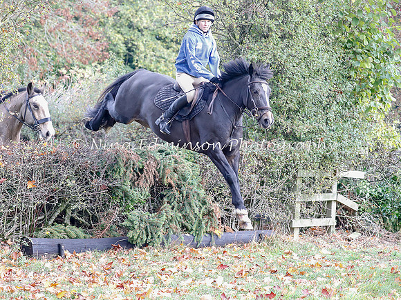 WYFH18--0188