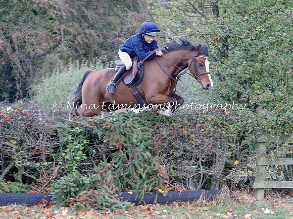 WYFH18--0216