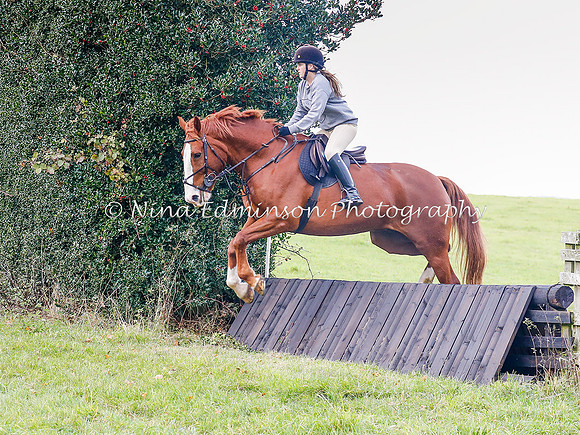 WYFH18--0310