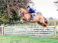 Jumping 1