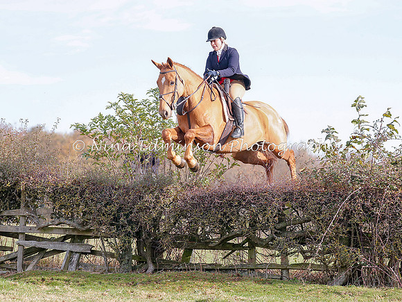 BAK18--0090