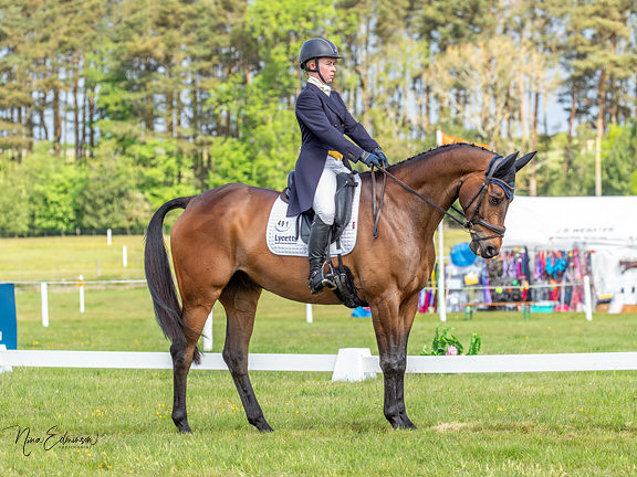 bel25 - 043