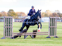 Racehorse to Hunter