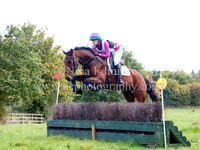 80cm Pairs fences 5 & 9
