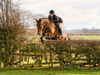 Other Jumping