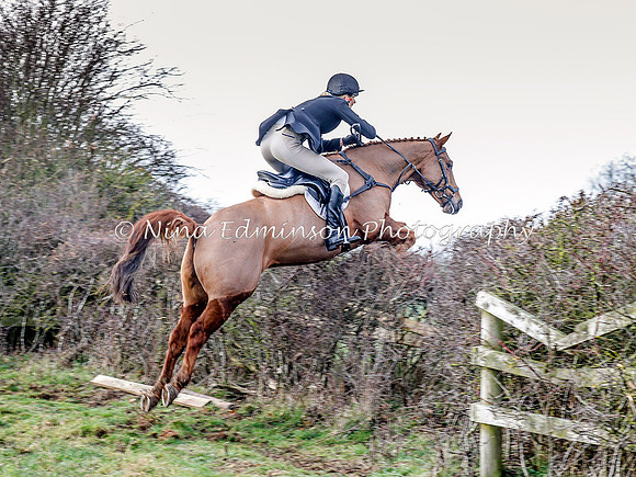 BLDL--1000